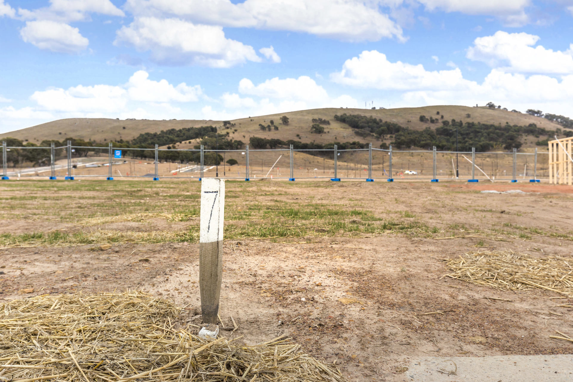 7 Buhrich Street, Taylor ACT 2913 Luton Properties