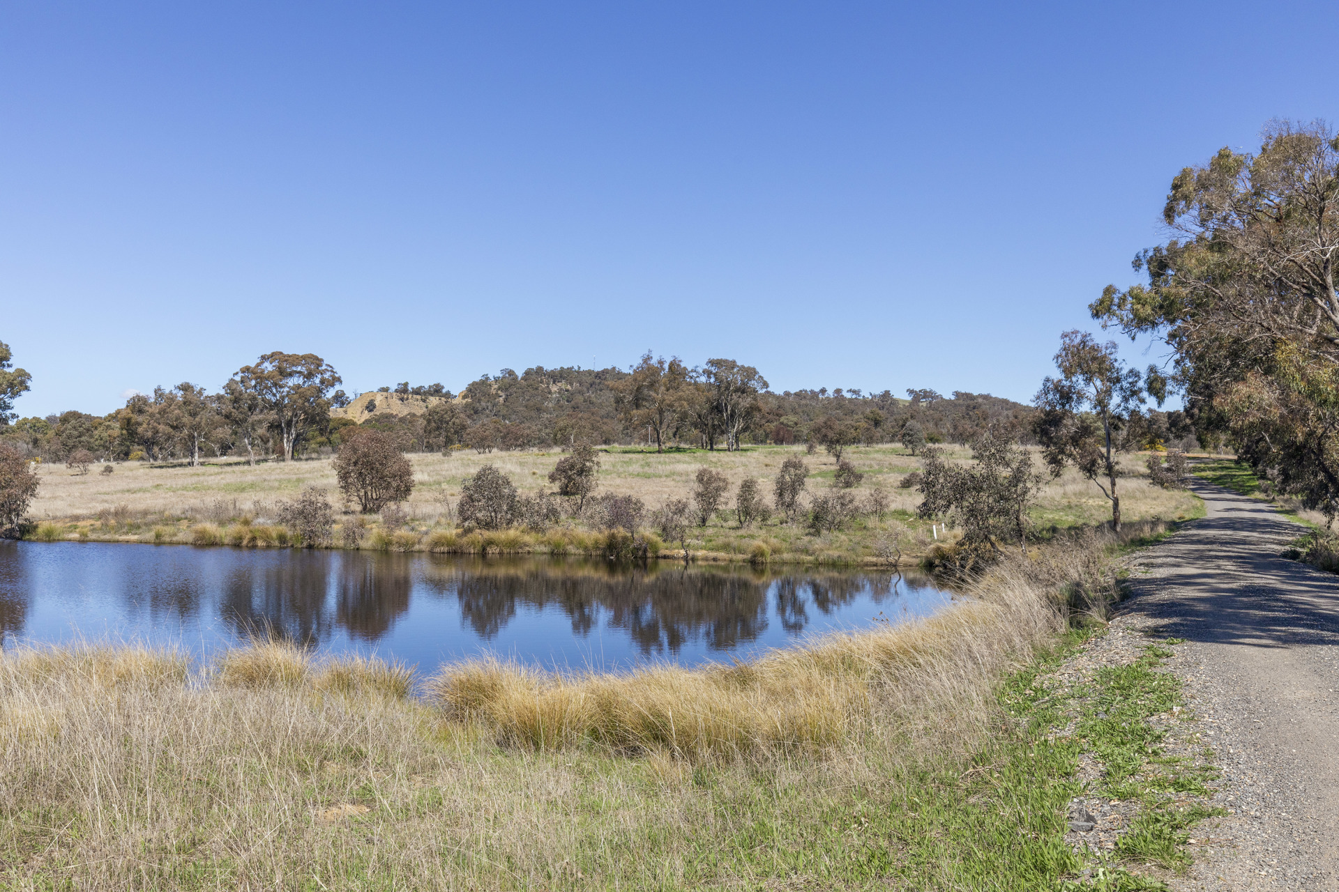 130 McKeahnie Lane, Sutton NSW 2620 Luton Properties