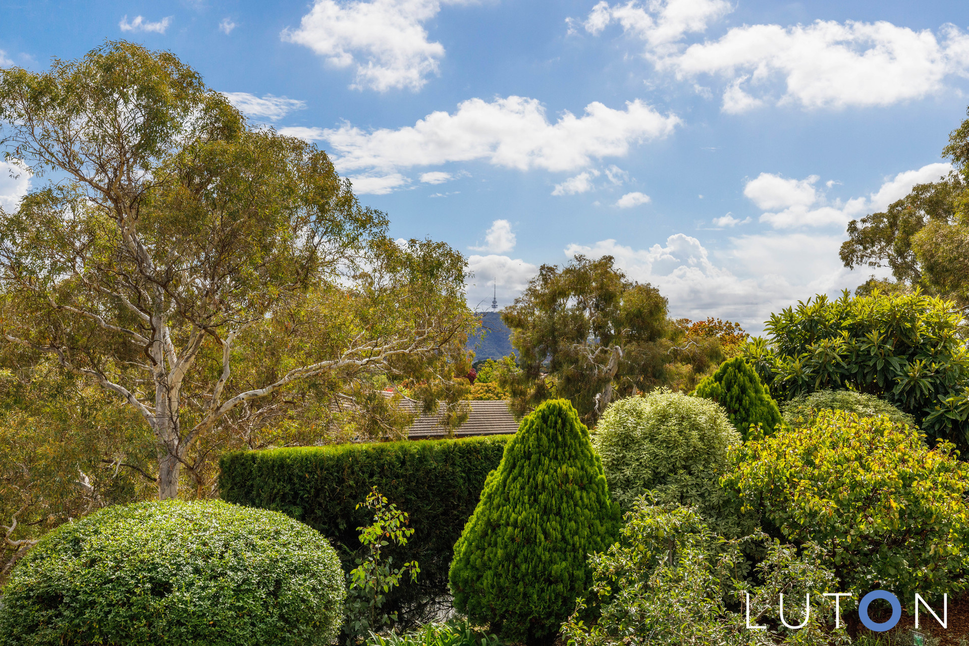 93 Stonehaven Crescent, Deakin ACT 2600 Luton Properties