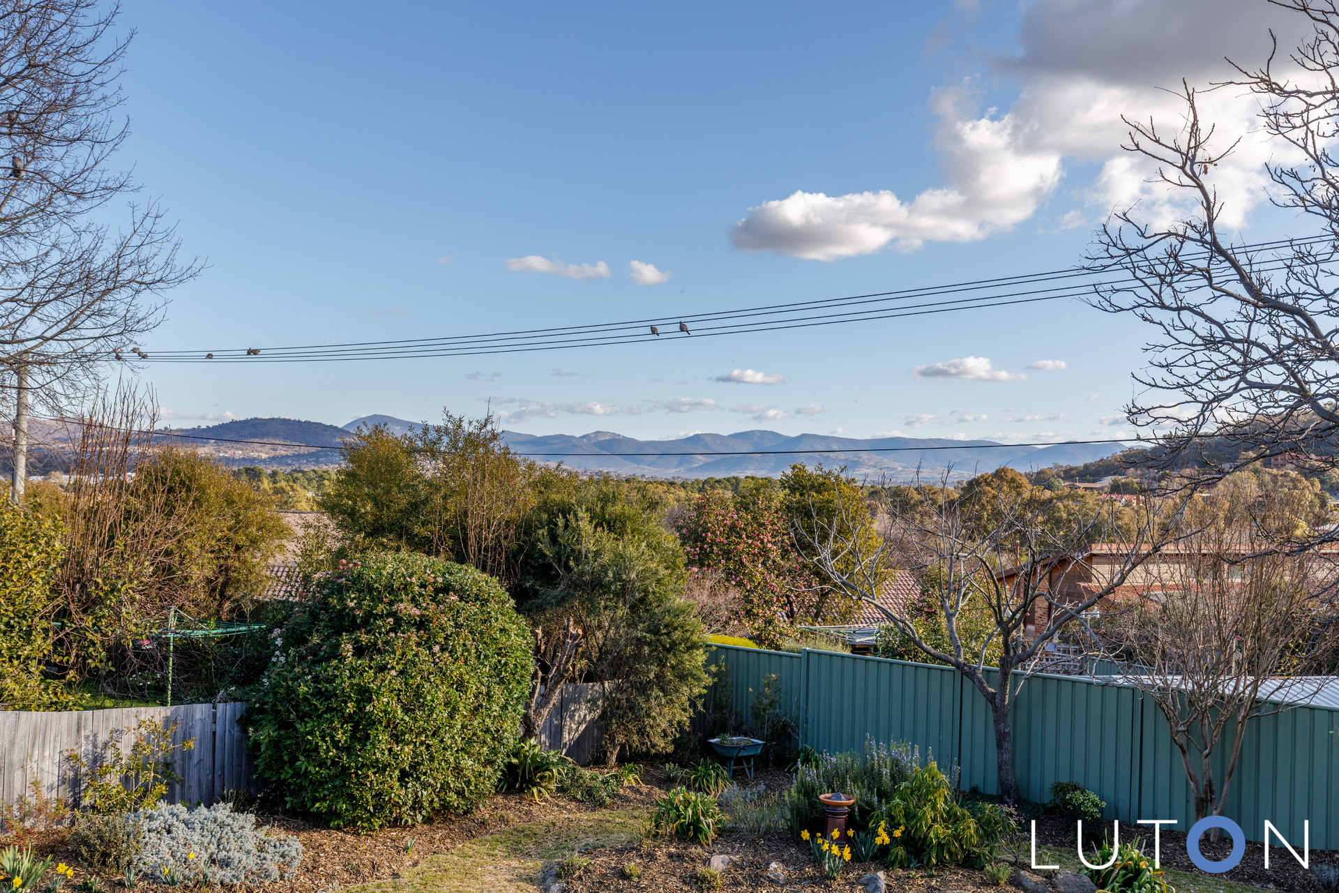 114 Jackie Howe Crescent, Macarthur ACT 2904 Luton Properties