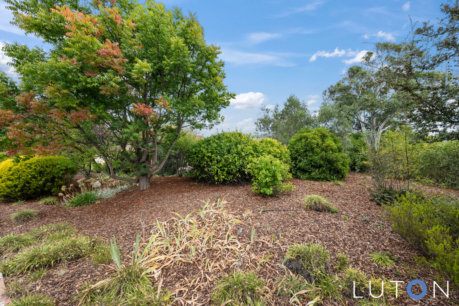 2 Falkiner Place, Macarthur ACT 2904 Luton Properties